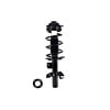 FCS Struts 2335908R Suspension Strut and Coil Spring Assembly Suspension Strut and Coil Spring Assembly