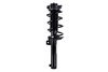 2335957 by FCS STRUTS - Suspension Strut and Coil Spring Assembly