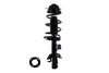 FCS Struts 2335992R Suspension Strut and Coil Spring Assembly Suspension Strut and Coil Spring Assembly