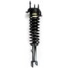 FCS Struts 2336338 Suspension Strut and Coil Spring Assembly Suspension Strut and Coil Spring Assembly