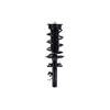 2337006L by FCS STRUTS - Suspension Strut and Coil Spring Assembly