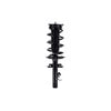 2337006R by FCS STRUTS - Suspension Strut and Coil Spring Assembly