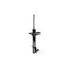 FCS Struts 331623R Suspension Strut Suspension Strut