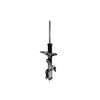 FCS Struts 331628R Suspension Strut Suspension Strut