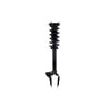 FCS Struts 2355065L Suspension Strut and Coil Spring Assembly Suspension Strut and Coil Spring Assembly