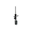 FCS Struts 333270R Suspension Strut Suspension Strut