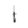 FCS Struts 332306R Suspension Strut Suspension Strut