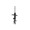 FCS Struts 333524L Suspension Strut Suspension Strut