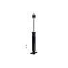 341642 by FCS STRUTS - Shock Absorber