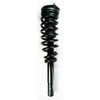 5335790 by FCS STRUTS - Suspension Strut and Coil Spring Assembly