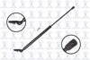 FCS Struts 84221R Tailgate Lift Support Tailgate Lift Support