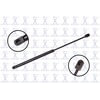 FCS Struts 84247 84247