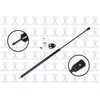 FCS Struts 84309 Liftgate Lift Support Liftgate Lift Support