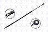 FCS Struts 84954 Liftgate Lift Support Liftgate Lift Support