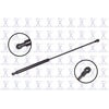 FCS Struts 86619 Liftgate Lift Support Back Glass Lift Support
