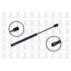 FCS Struts 86920 86920