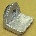 BWP-NSI M-1104 SpkWhl Clamp Dayton Alum