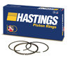 Hasting Filter 828