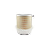Hasting Filter AF101K AIR ELEMNT
