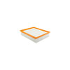 Hasting Filter AF1033 PANEL AIR ELEMEN