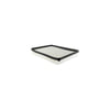 Hasting Filter AF1125 PANEL AIR ELEMEN