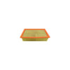 Hasting Filter AF1130 PANEL AIR ELEMEN