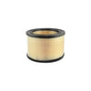 Hasting Filter AF119 AIR ELEMNT