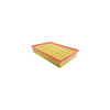 Hasting Filter AF1198 PANEL AIR ELEMEN