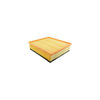 Hasting Filter AF1234 Panel Air Element with Foam Pad