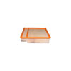 Hasting Filter AF1292 Panel Air Element