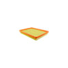 Hasting Filter AF1298 PANEL AIR ELEMEN