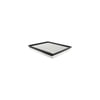 Hasting Filter AF136 PANEL AIR ELEMEN