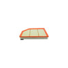 Hasting Filter AF1411 Panel Air Element