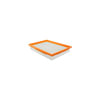 Hasting Filter AF509 PANEL AIR ELEMEN