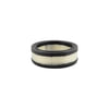 Hasting Filter AF54 AIR ELEMENT
