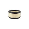 AF598 by HASTING FILTER - AIR ELEMENT