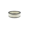 Hasting Filter AF145 AIR ELEMENT