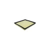 Hasting Filter AF1484 PANEL AIR ELEMEN