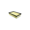 Hasting Filter AF1519 PANEL AIR ELEMEN
