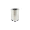 Hasting Filter AF2290 AIR ELEMNT