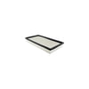 Hasting Filter AF899 PANEL AIR ELEMEN
