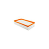 Hasting Filter AF931 Panel Air Element