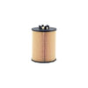 Hasting Filter LF646 LUBE ELEMENT