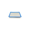Hasting Filter PA3822 Cab Air Element
