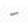 BWP-NSI M-3099 Spring Guard