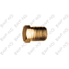 BWP-NSI M-4319 Pipe Fitting BrsFtg Hex Head Plug