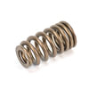 05037382BC by MOPAR - SPRING