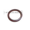 Interstate-McBee A-5116229 Engine Crankshaft Seal Engine Crankshaft Seal - Rear