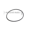Interstate-McBee M-27245 Fuel Pump Seal Fuel Pump Seal - O-Ring