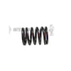 Interstate-McBee M-9N5496 Engine Valve Spring Engine Valve Spring - Outer